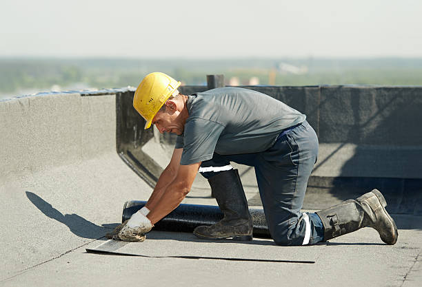 Best Cellulose Insulation in Butler, AL