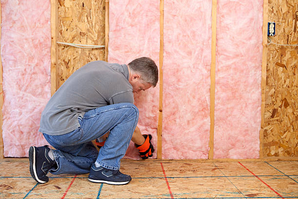 Best Eco-Friendly Insulation in Butler, AL