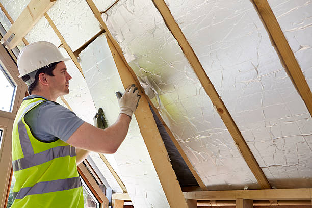 Professional Insulation Contractor in Butler, AL